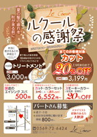 チラシサンプル