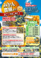 チラシサンプル