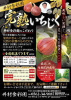 チラシサンプル