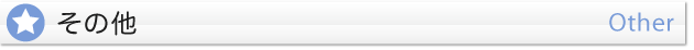 その他